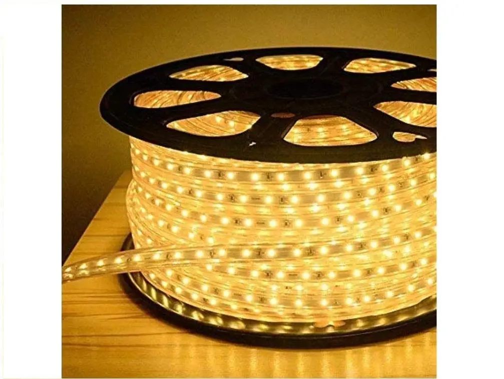 Rope Light 50M